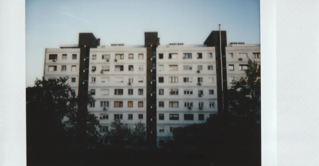 découvrez l'histoire fascinante des triplés de belleville, une aventure unique pleine d'émotions et de découvertes.