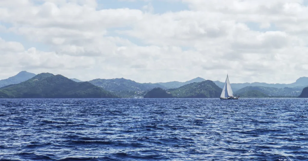 découvrez le land sailing, une activité nautique terrestre alliant vitesse et sensation de liberté grâce à une voile propulsée par le vent sur une terre ferme.