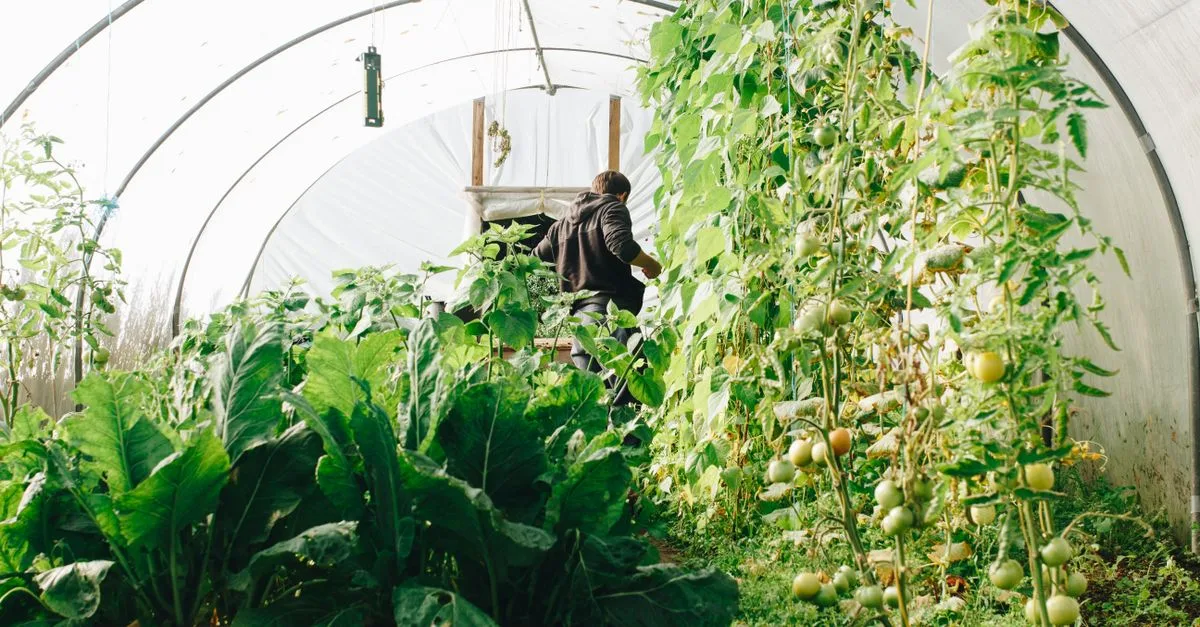 découvrez les pratiques agricoles durables qui préservent l'environnement, favorisent la biodiversité et assurent une production alimentaire saine et responsable pour les générations futures.